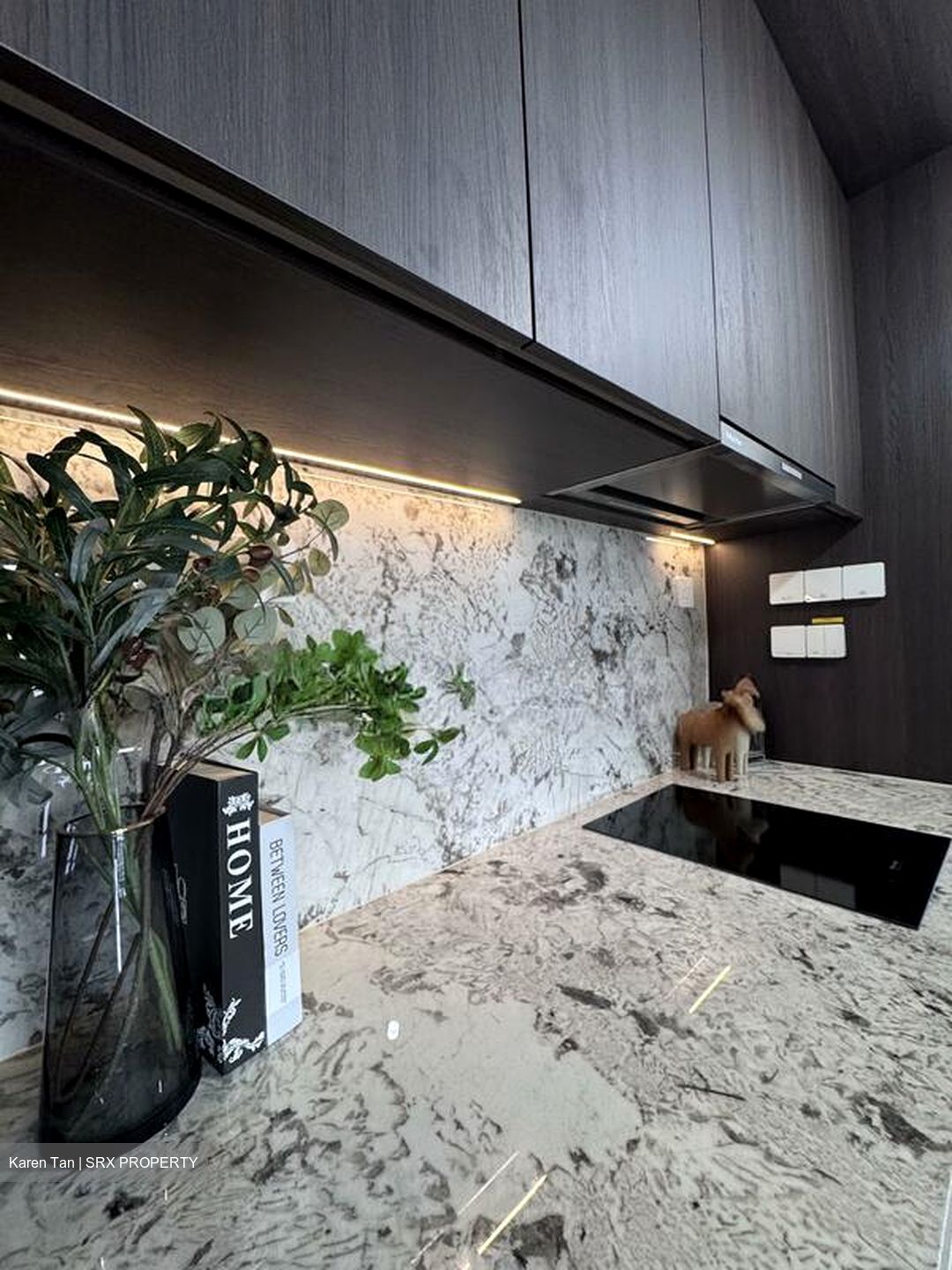 Tembusu Grand (D15), Condominium #579846691